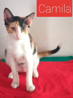 fundacion_mimi_2022_-_final007011.jpg