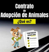 fundacion_mimi_2022_-_final007019.jpg